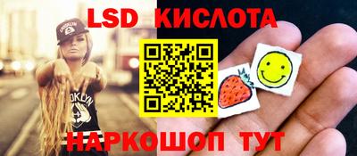 jwh Бийск