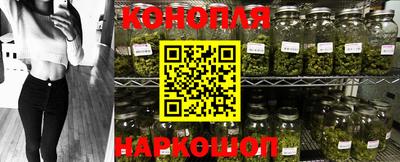 jwh Бийск