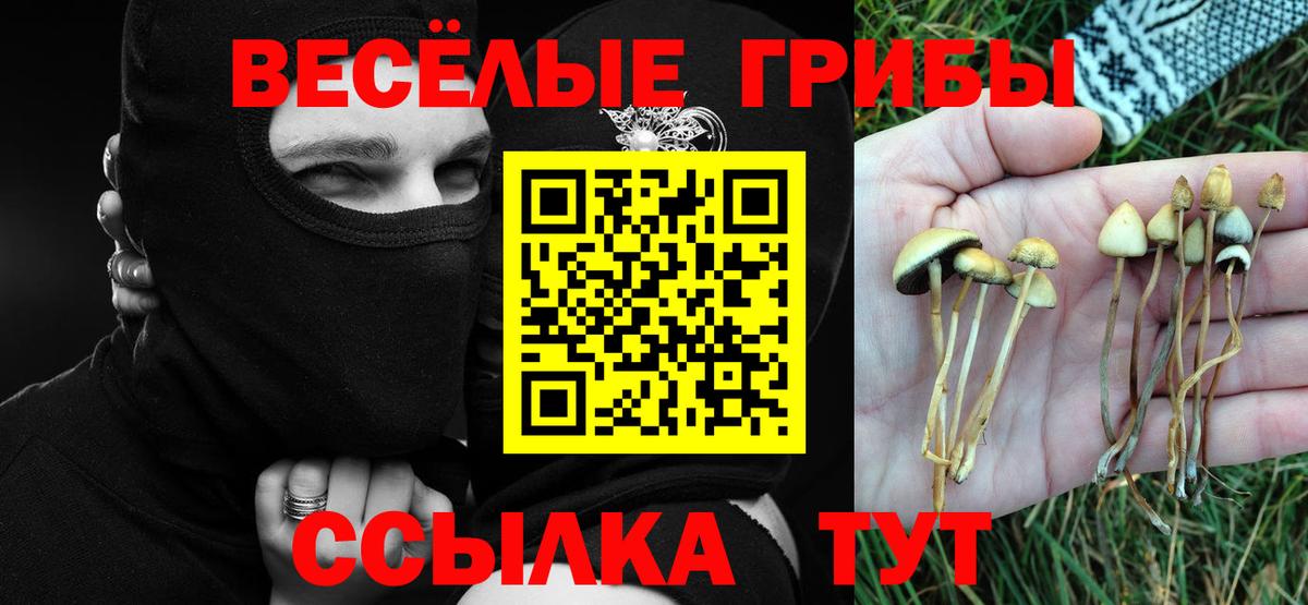 продажа наркотиков  Вход с VPN  Галлюциногенные грибы прущие грибы  Калач-на-Дону  Галлюциногенные грибы мицелий 